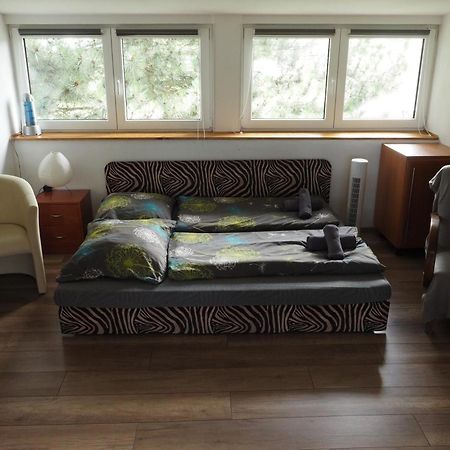 Apartman U Borovice Bílá Třemešná Esterno foto